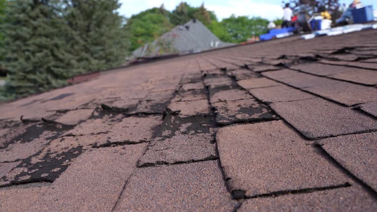 Best Steel Roofing  in , GA