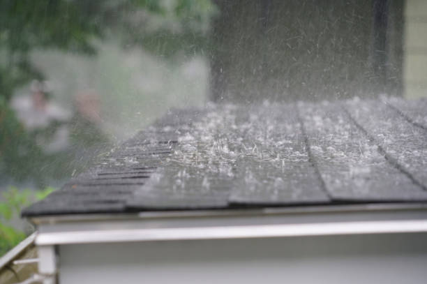 Best Sheet Metal Roofing  in , GA